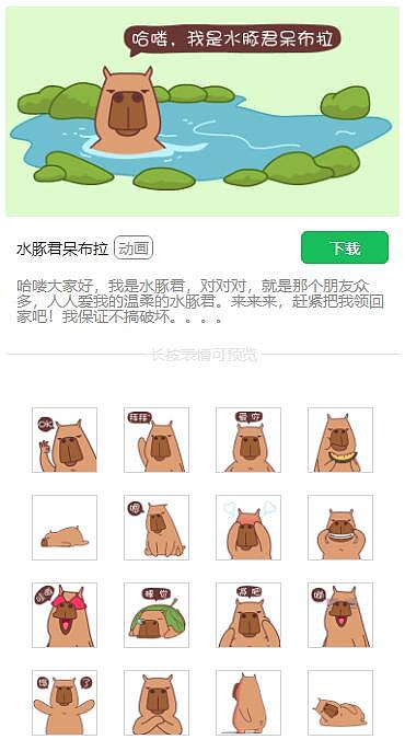 水豚君呆布拉表情（图ZMTA5NjM0NDY4） - 网络表情 - 站酷设计师591动漫原创素材 - 站酷ZCOOL