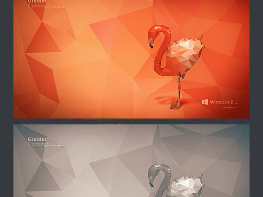Greater Flamingo Desktop