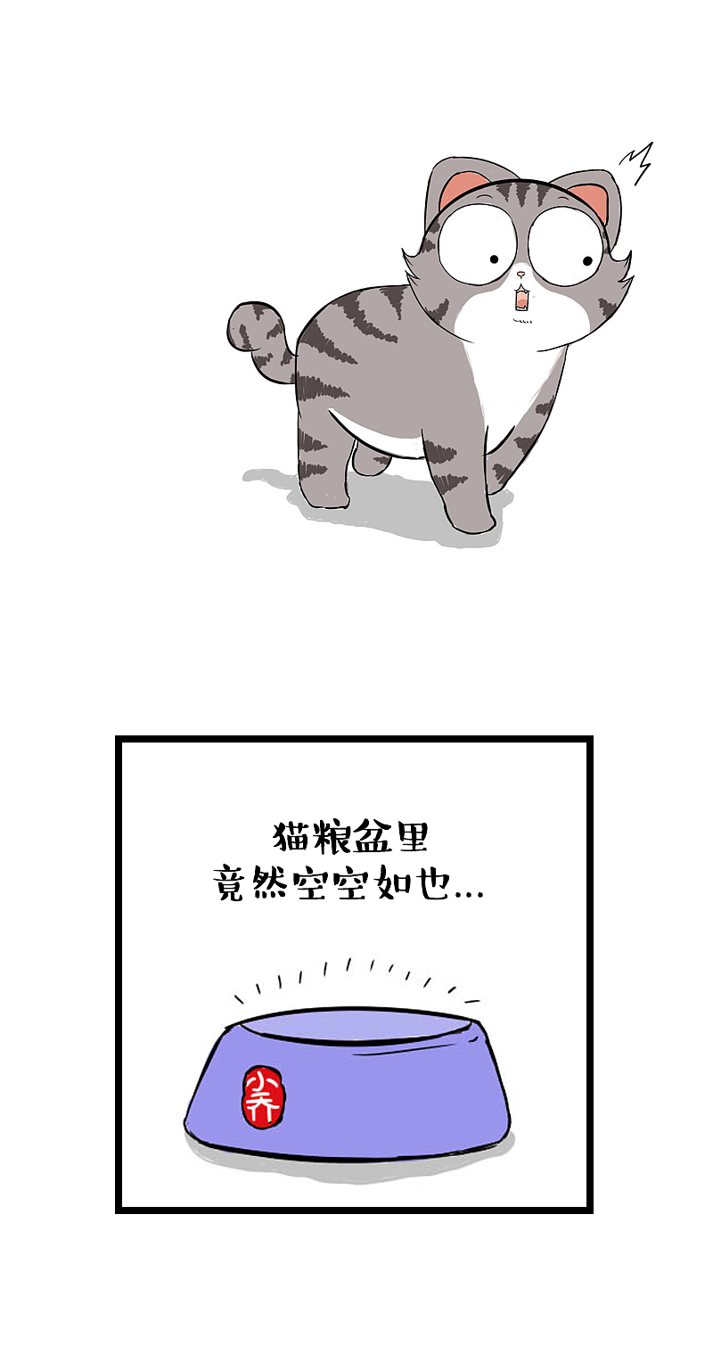 旧爱不如新欢,人如此,猫亦是如此