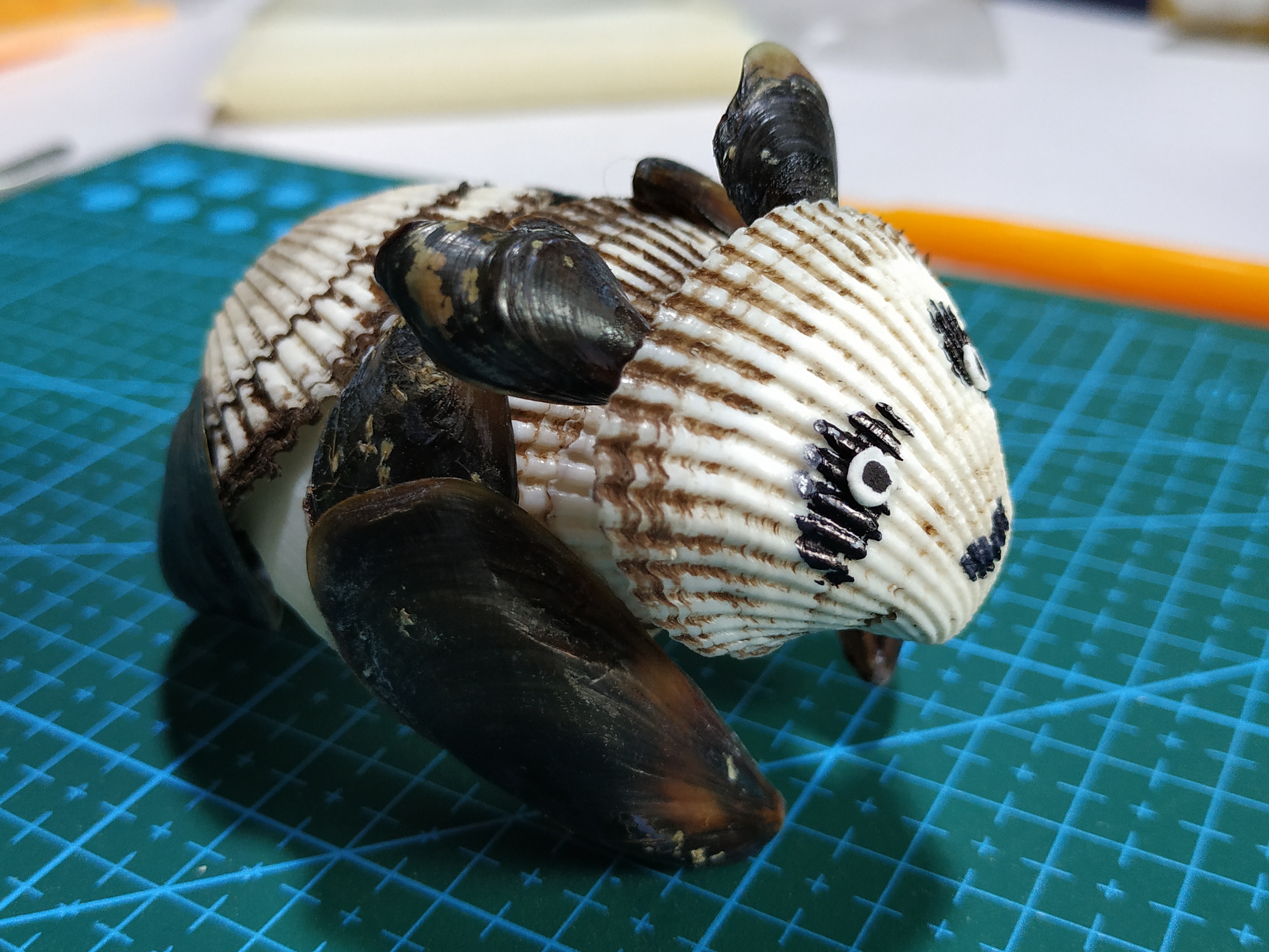 贝壳做的国宝野生大熊猫