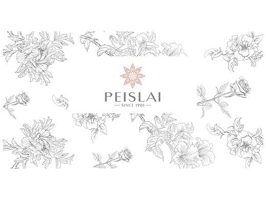 JUNDA+PEISLAI 品牌提案