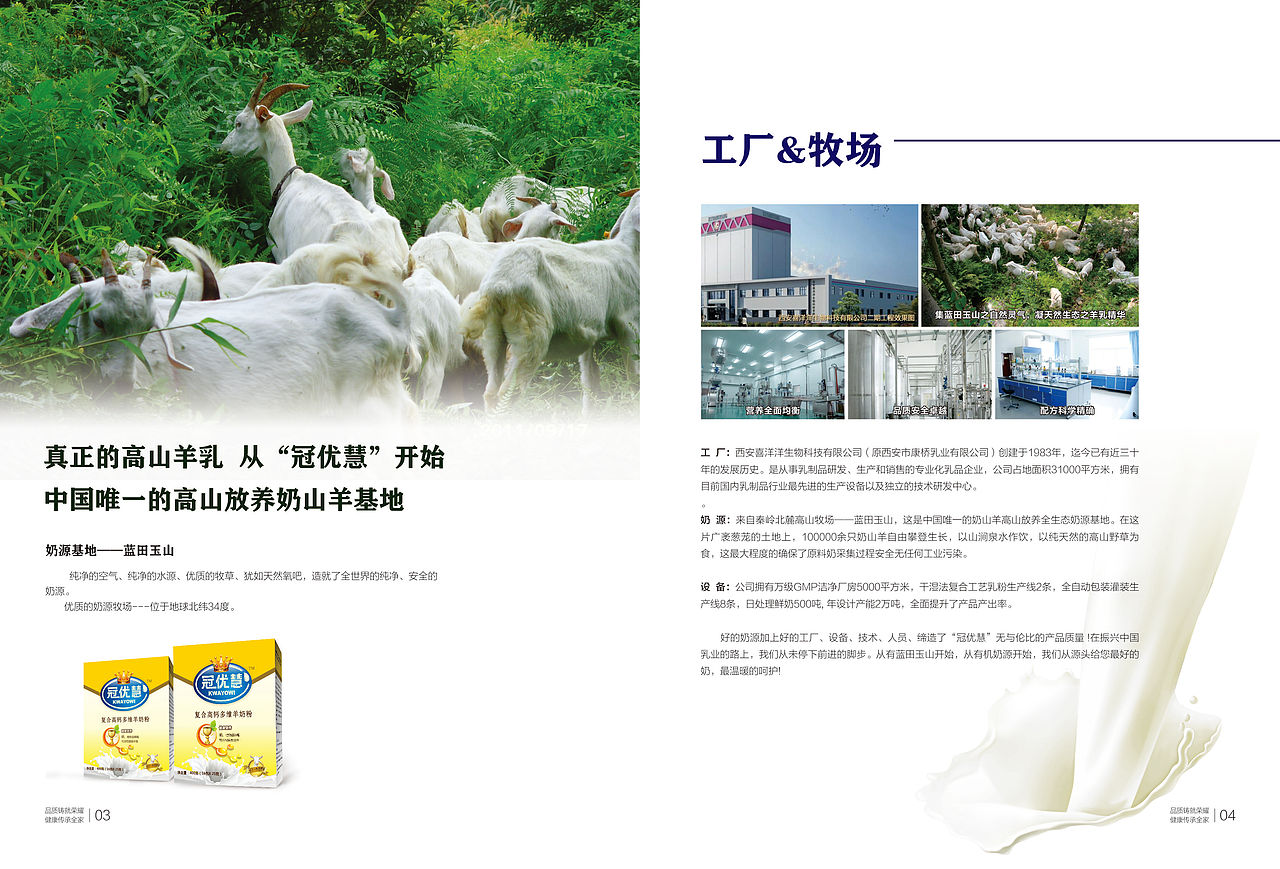 简单宣传册,折页