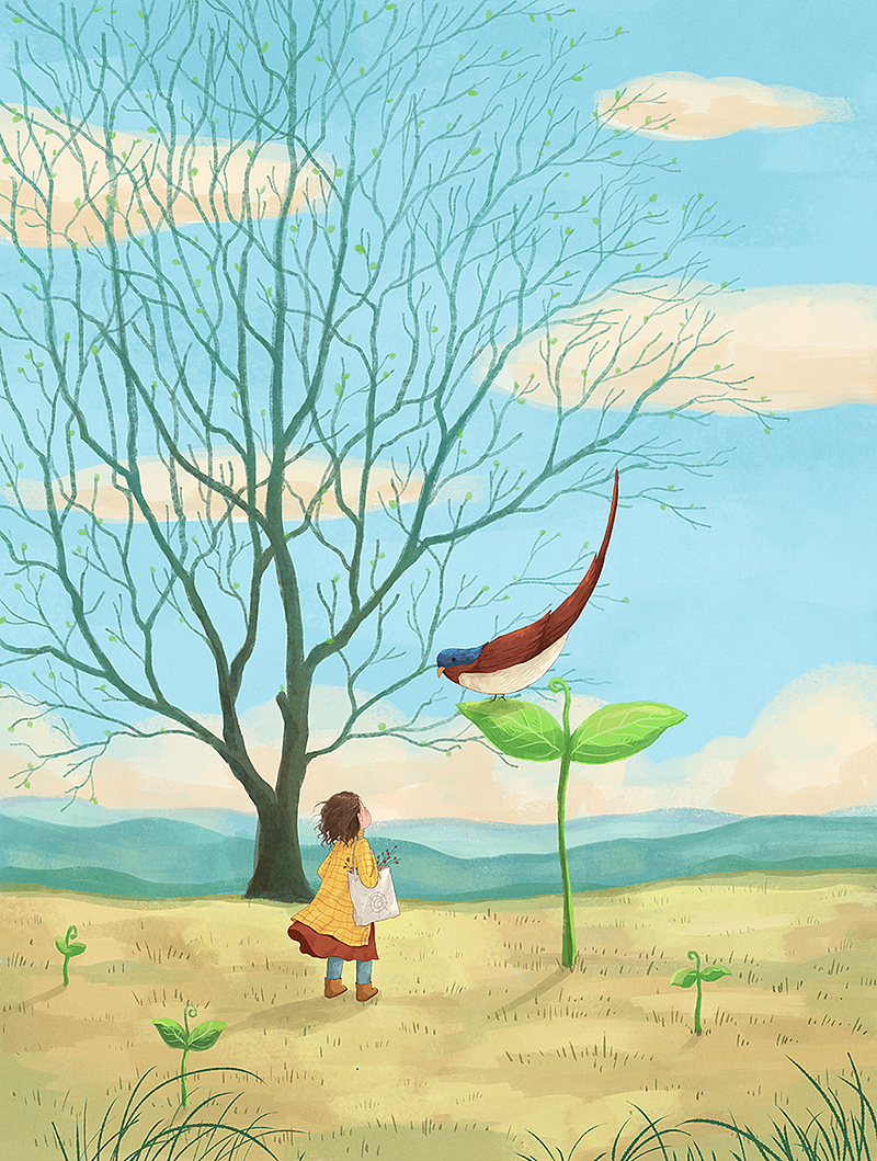 走过四季之春夏