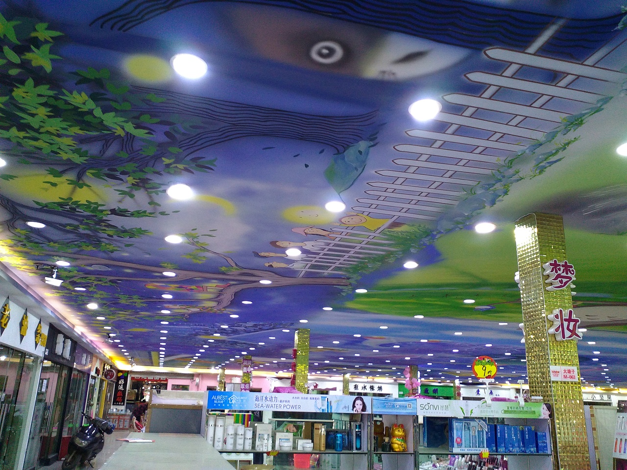 天顶壁画墙体彩绘艺术