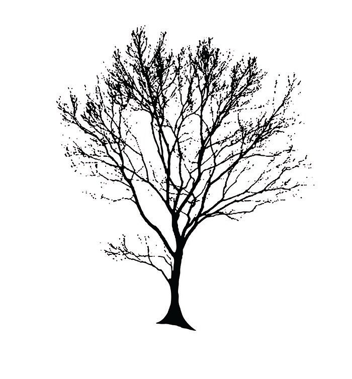 Root Water 包装设计