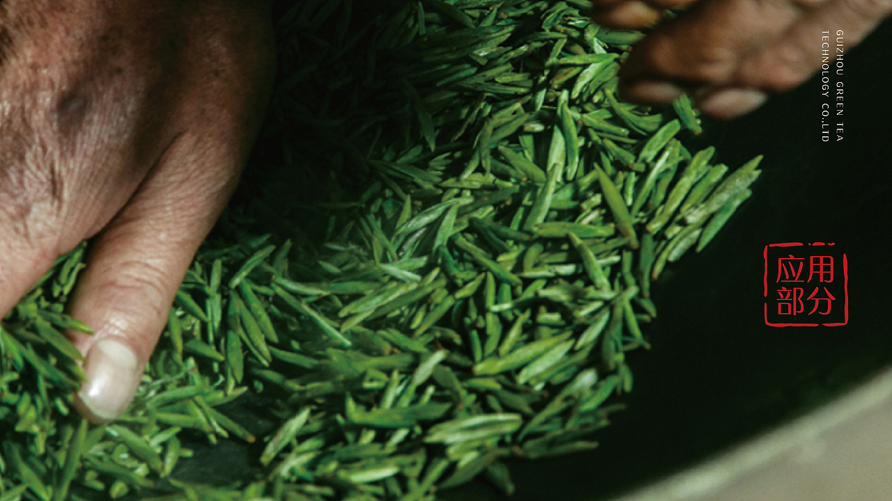 贵州绿茶科技-视觉形象设计