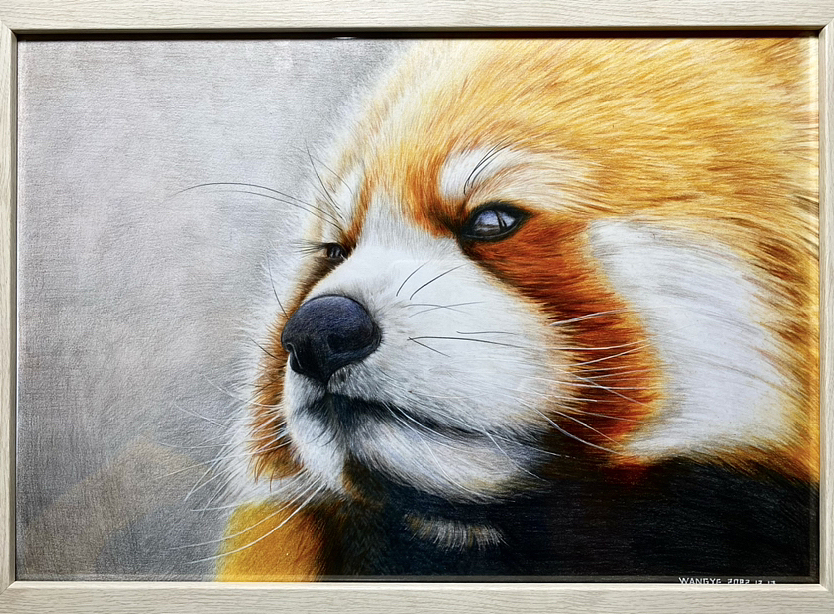 彩铅画（图ZMzI1NTYyMjA4） - 绘画 - 站酷设计师清心无尘原创素材 - 站酷ZCOOL