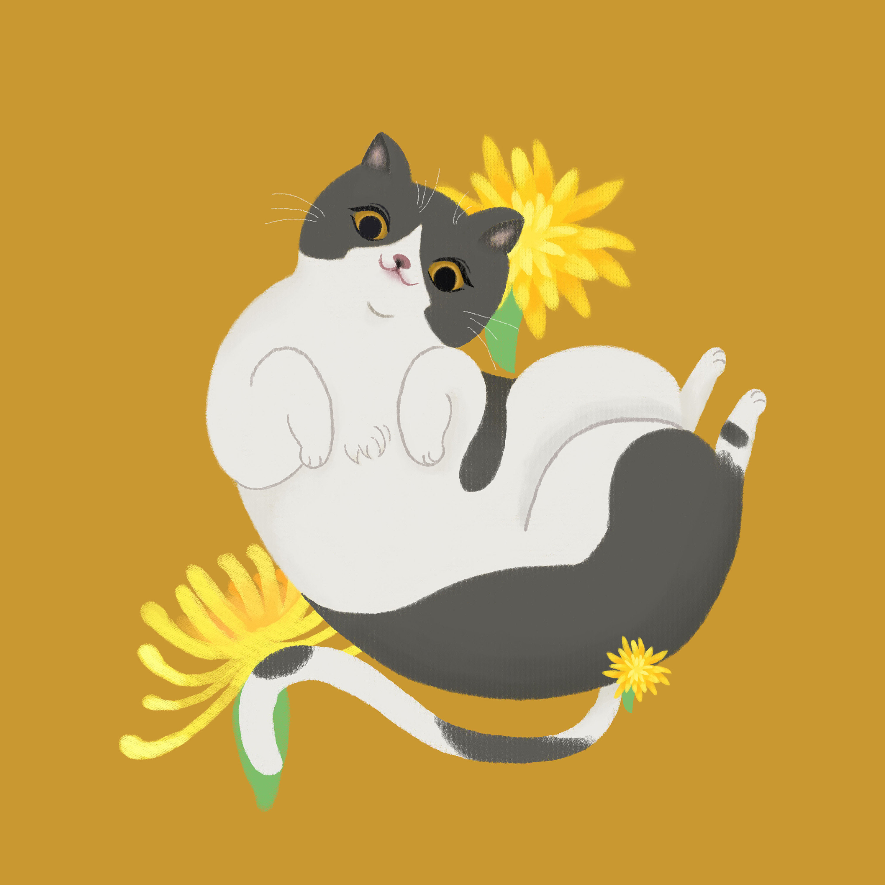 可爱猫咪原创插画|插画|商业插画|我是希瑞s - 原创作品 - 站酷