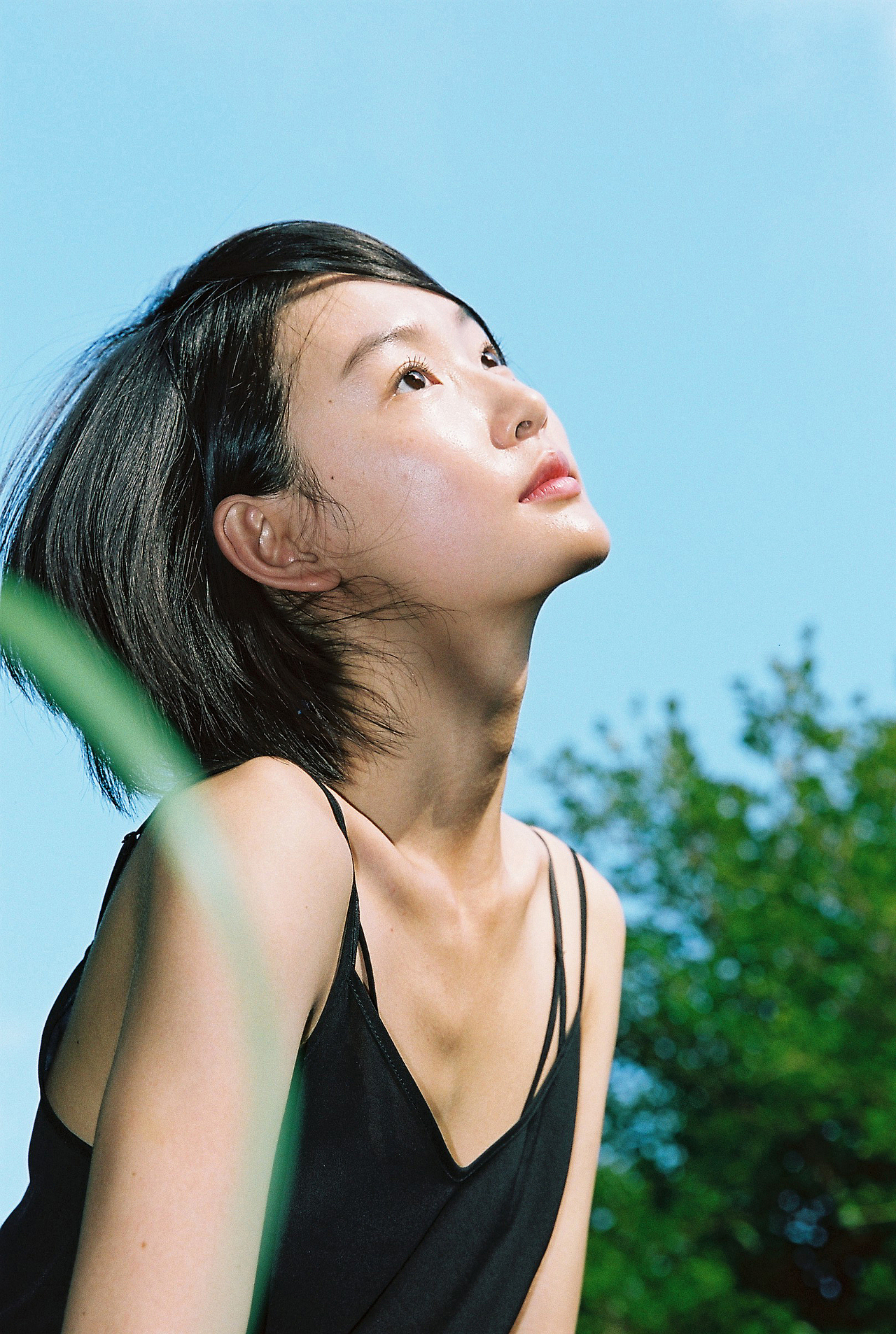 树生长摄影 | 个人写真#客片欣赏（图ZMTgxMDE5NjU2） - 人像摄影 - 站酷设计师树生长摄影原创素材 - 站酷ZCOOL