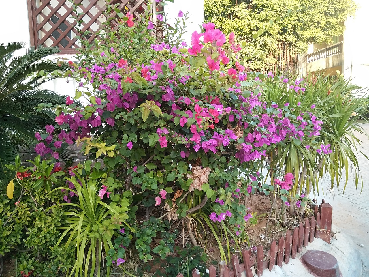 三亚之行（图ZMTIxNzg3ODk2） - 风光摄影 - 站酷设计师倔犟的凯皮酱原创素材 - 站酷ZCOOL