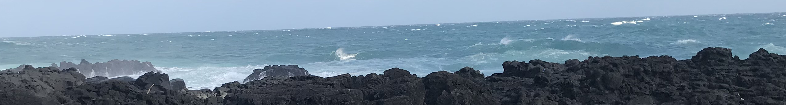 青橘十四的个人主页（封面预览） - 主页封面设置 - 站酷设计师青橘十四原创素材 - 站酷ZCOOL