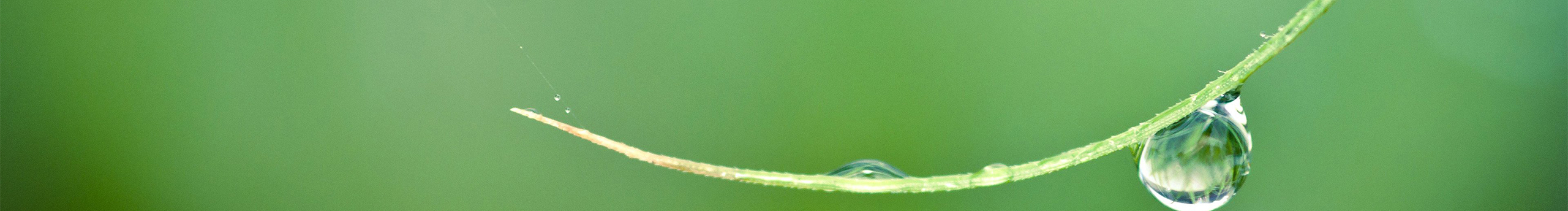 墨色11的个人主页（封面预览） - 主页封面设置 - 站酷设计师墨色11原创素材 - 站酷ZCOOL