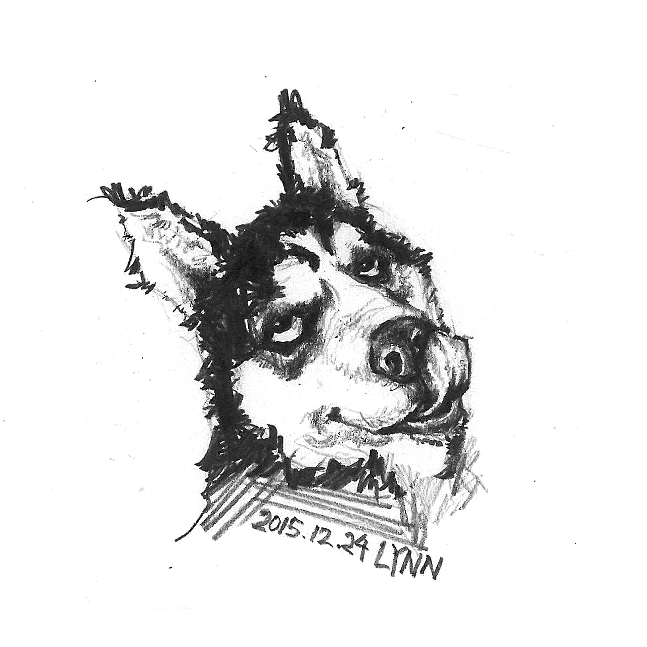 二哈手绘速写小稿（图ZMzkyOTc4MDg=） - 绘画 - 站酷设计师与琳小馆原创素材 - 站酷ZCOOL