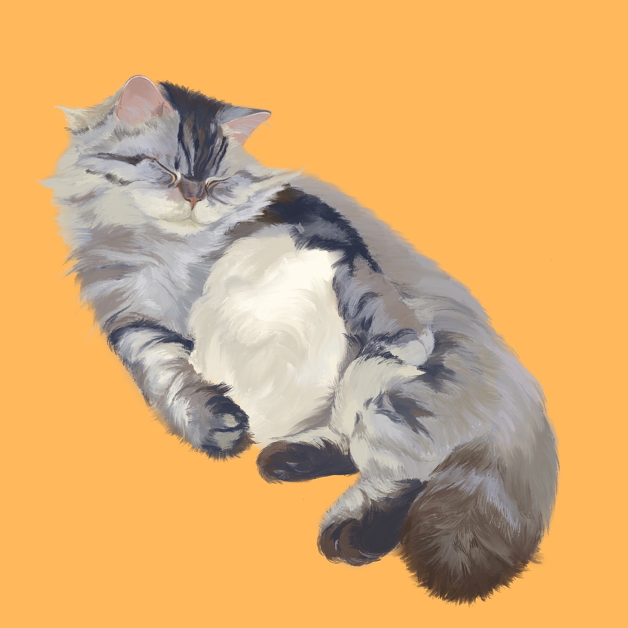 procreate猫咪头像