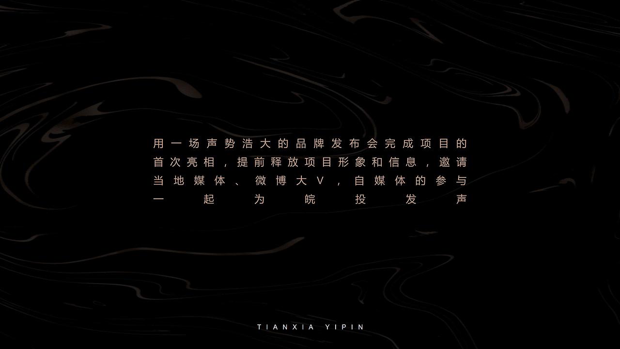 天下一品提报方案
