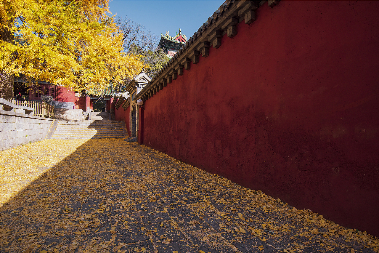 古建筑摄影：嵩山少林寺的秋