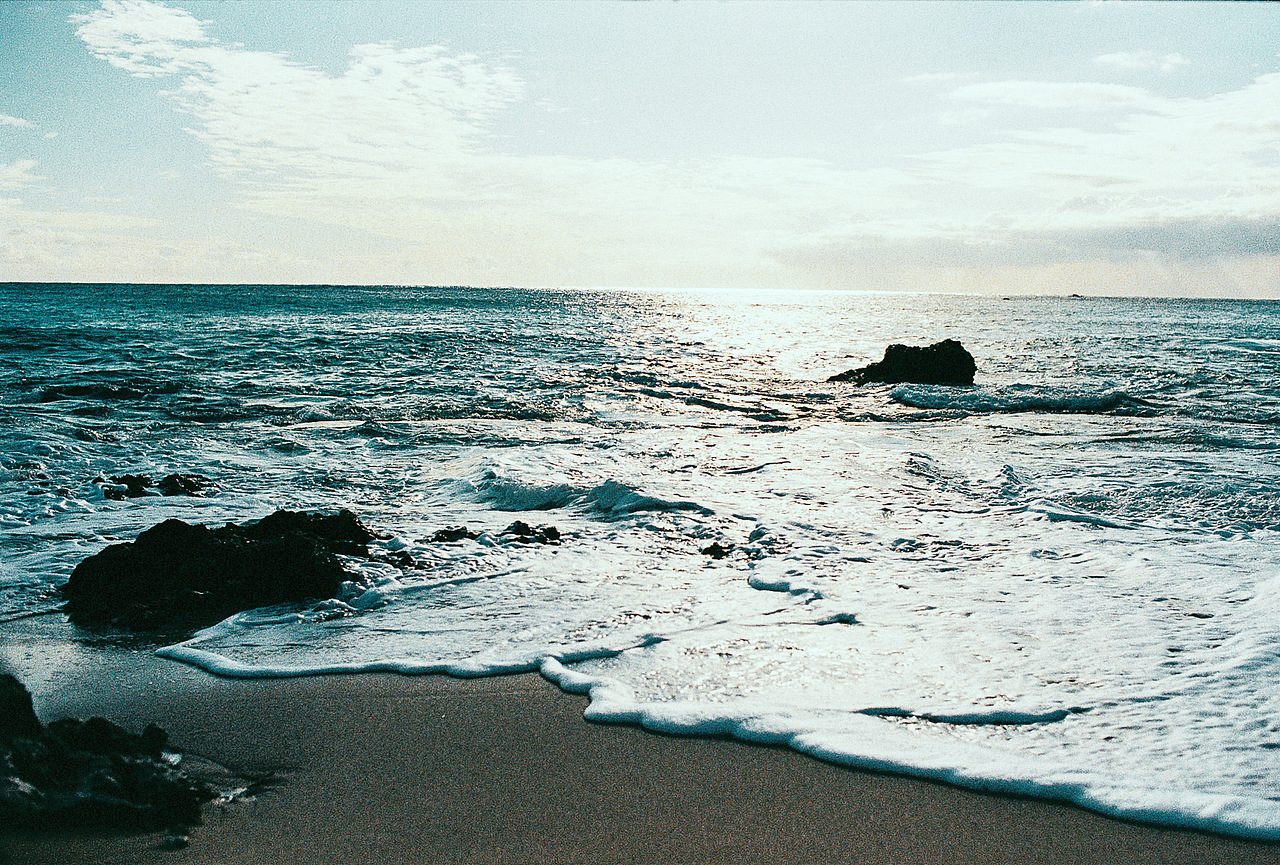 #COC# 海峡对岸台湾行