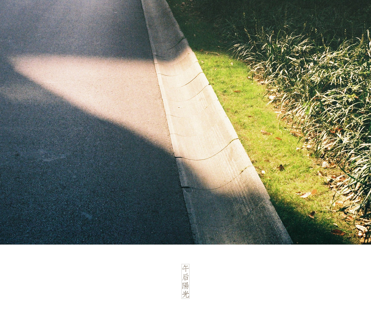 午后阳光