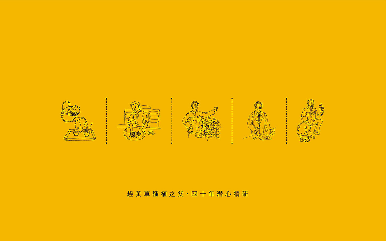 赶黄草 农业/食品/快消