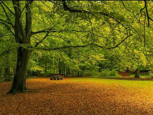 风景是多么的真实，真实 才会有我这种 爱好与风景的
