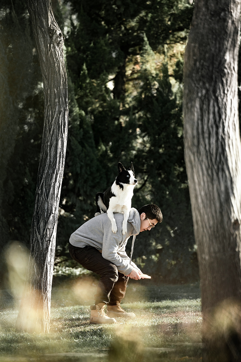 飞盘狗吉米和他的主人