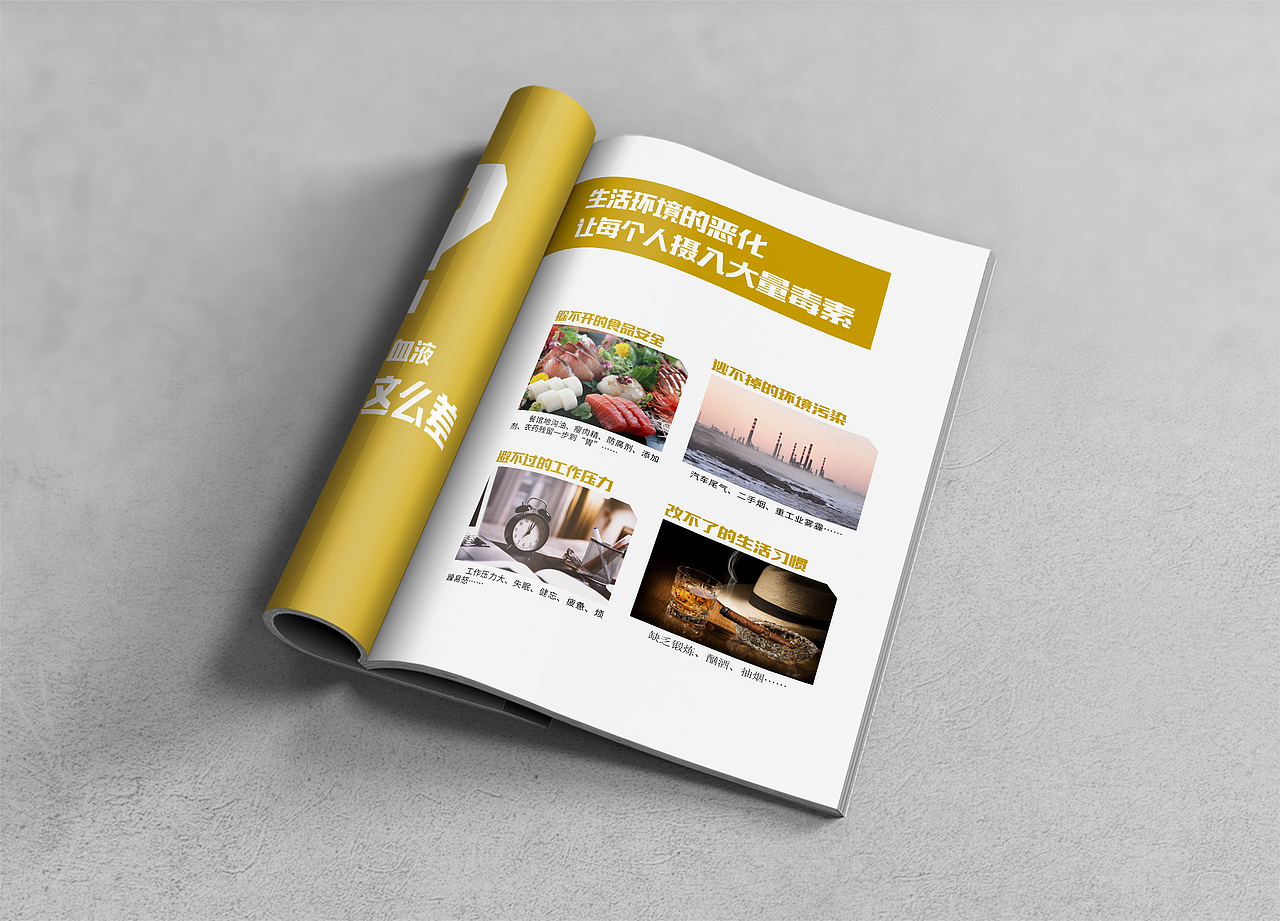 畫(huà)冊(cè)設(shè)計(jì)（圖ZMTM3MzMyNjk2） - 書(shū)籍/畫(huà)冊(cè) - 站酷設(shè)計(jì)師siyton原創(chuàng)素材 - 站酷ZCOOL