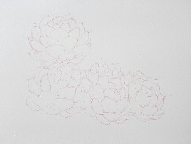 彩铅红爪（图ZNjk4NDY5MzI=） - 创作习作 - 站酷设计师婳画原创素材 - 站酷ZCOOL