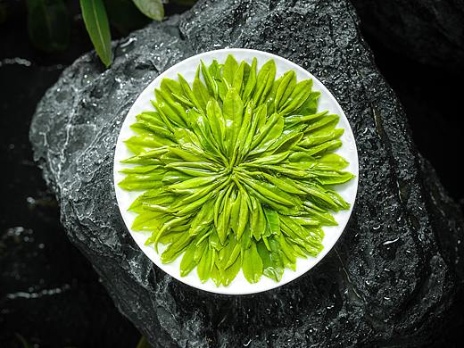 绿茶拍摄绿茶拍照 绿茶摄影 茶叶拍摄拍照摄影商业广告