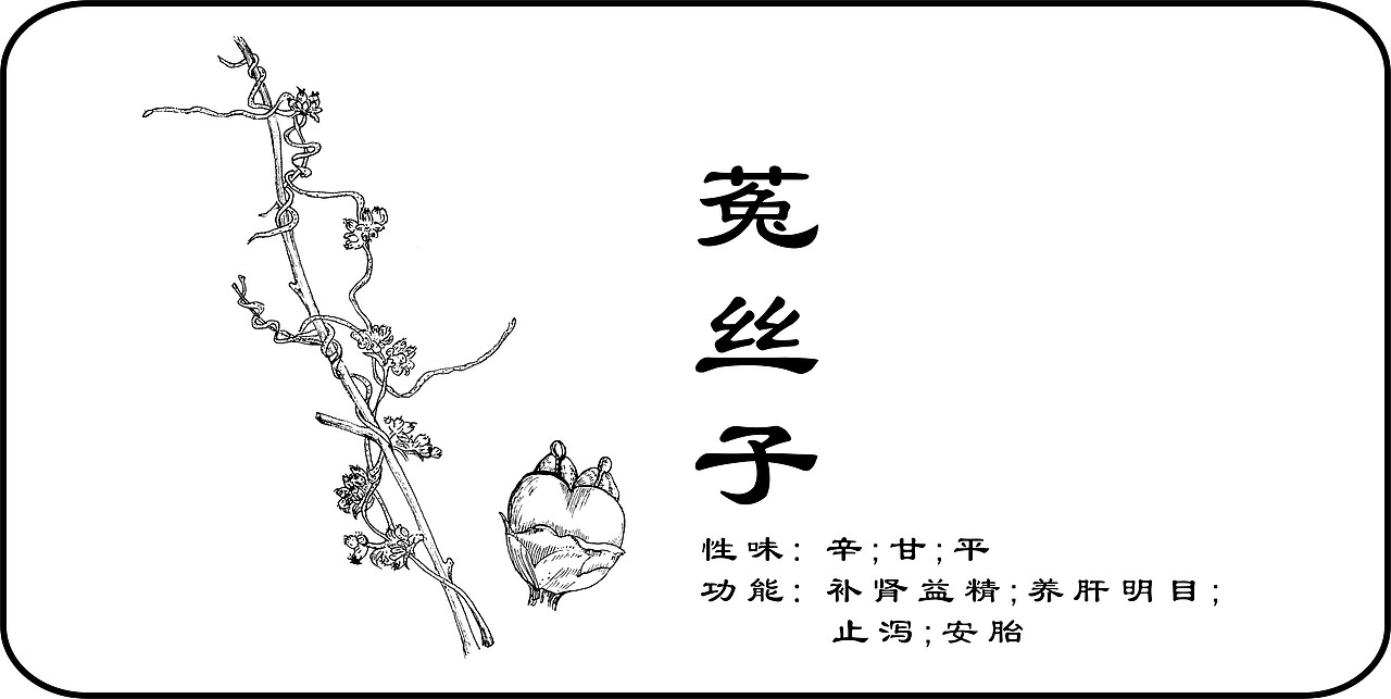 中草药手绘标示（图ZMzY3NTExOTI=） - 创作习作 - 站酷设计师一二零七原创素材 - 站酷ZCOOL