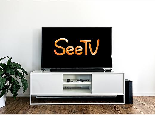 SeeTV机顶盒界面设计