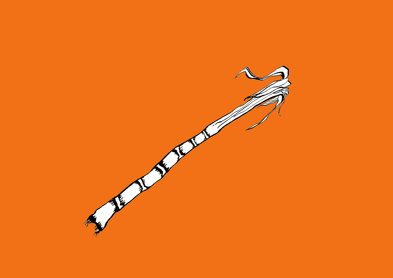 儿童绘本——一根红皮甘蔗（图ZMjIyODM0MA==） - 商业插画 - 站酷设计师阿闷闷原创素材 - 站酷ZCOOL