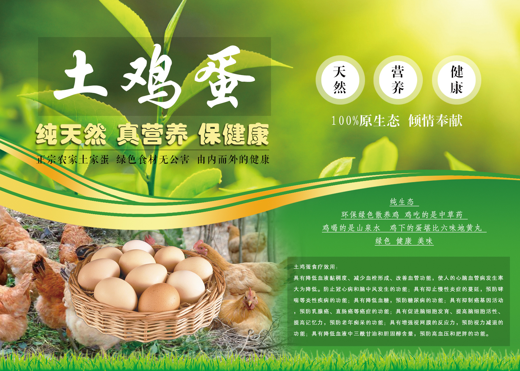 鸡蛋 宣传卡片