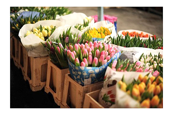 鲜花店艺术字设计