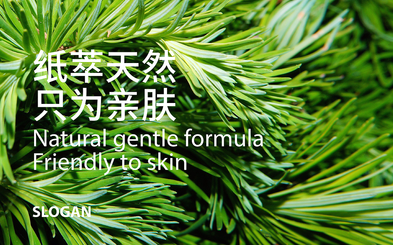 氏氏美品牌形象升级 丨 CALLBACK.DESIGN 超表达设计