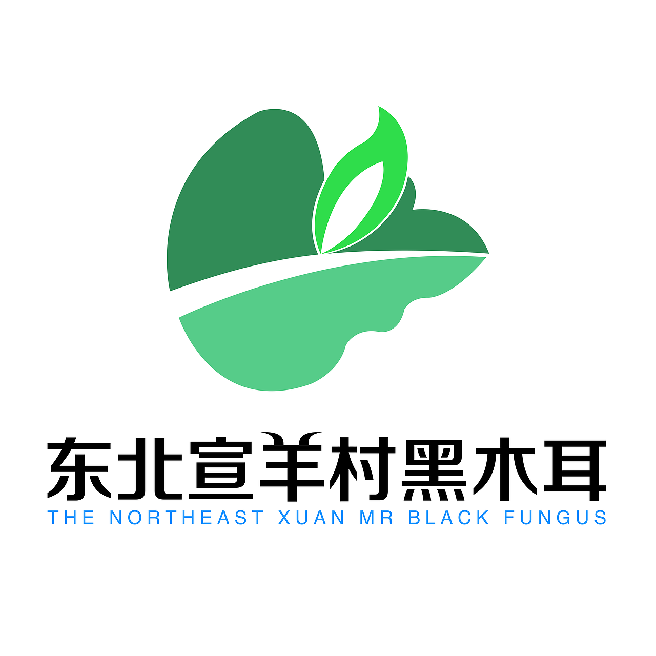 黑木耳logo设计|平面|logo|teng00_原创作品-站酷zcool