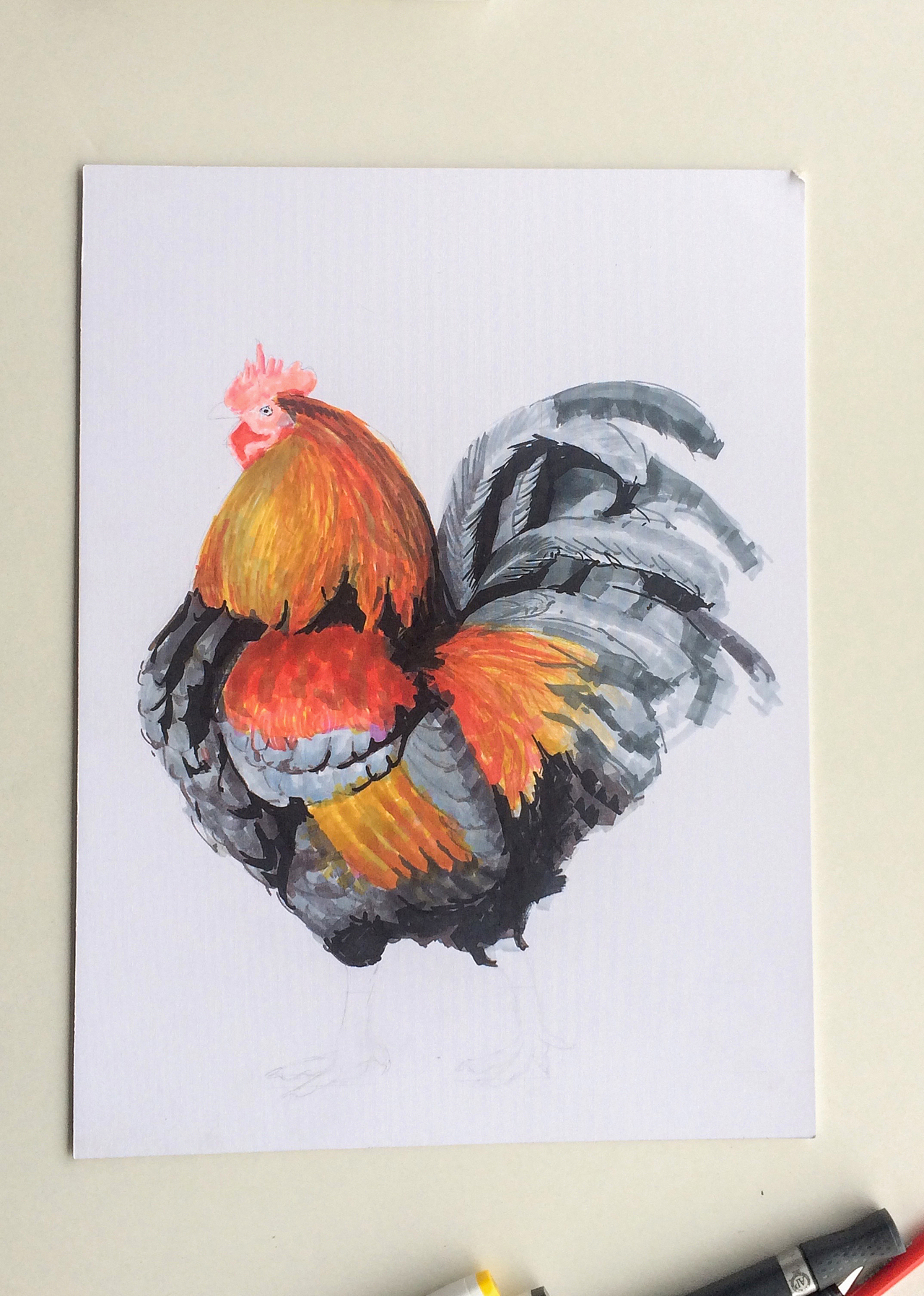 石思庆马克笔速涂大公鸡