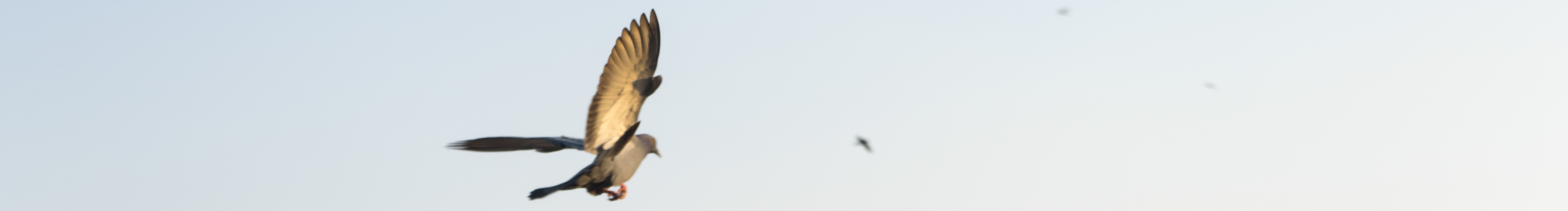 sTillLife的個人主頁（封面預覽） - 主頁封面設置 - 站酷設計師sTillLife原創(chuàng)素材 - 站酷ZCOOL