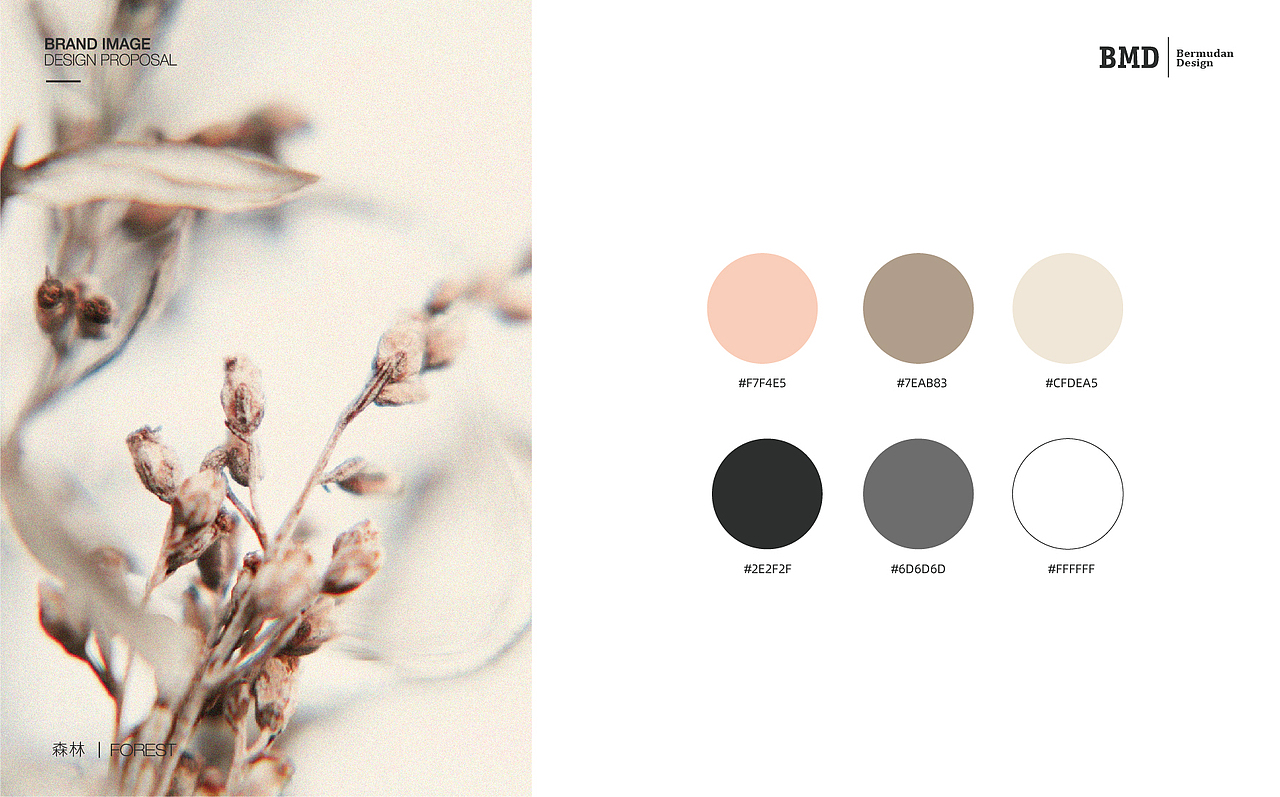 韩式女装logo设计（图ZMjUwMzIyNjky） - Logo - 站酷设计师BMD品牌设计原创素材 - 站酷ZCOOL