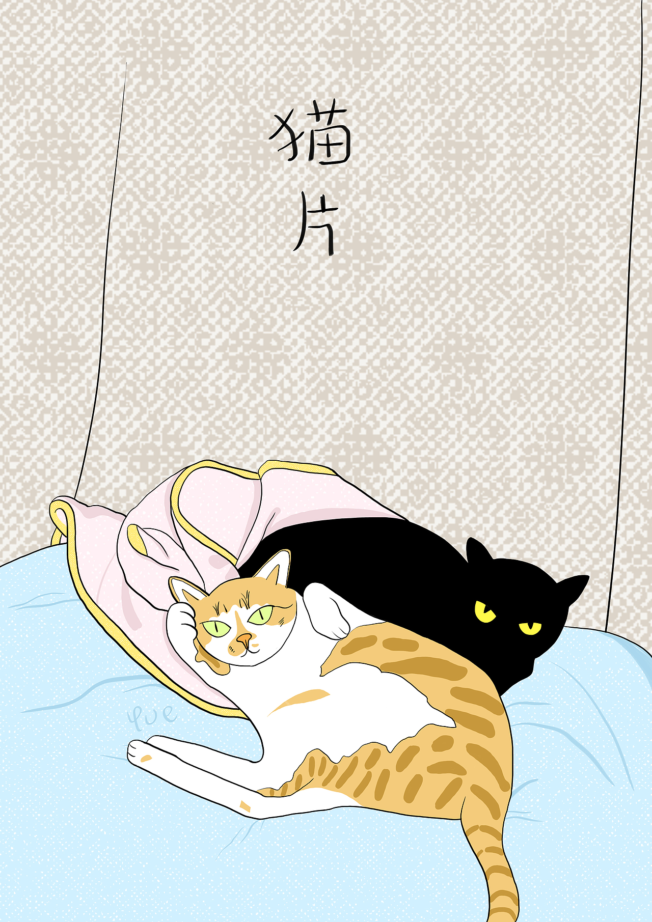 猫片