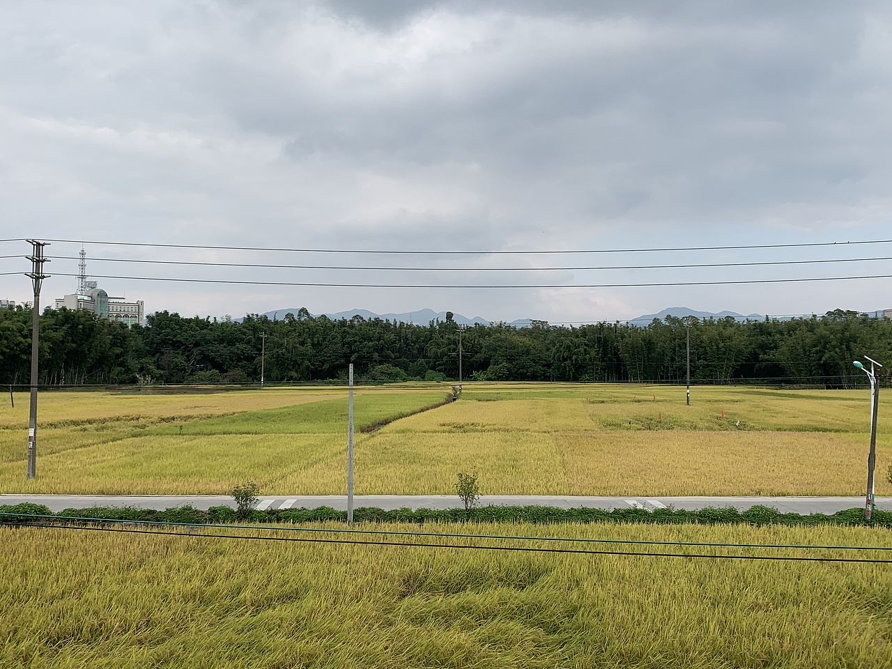 凌云老师Augus护肤老师 凌云老师惠州农家乐一日游