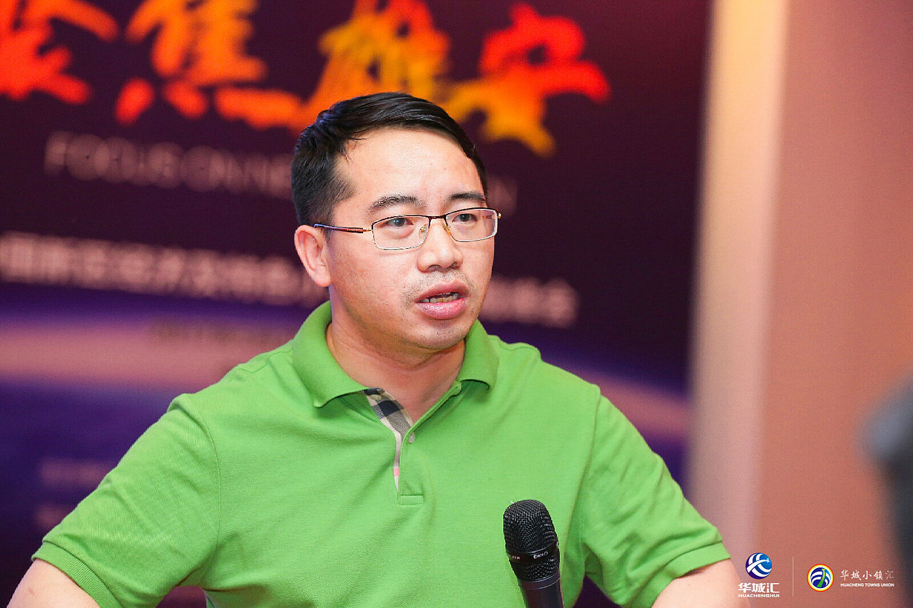 王金阳特色小镇峰会演讲图片