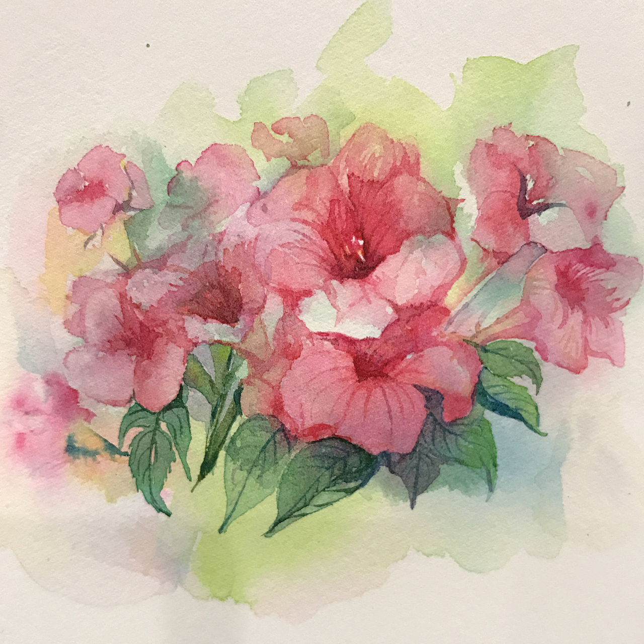 水彩凌霄花|纯艺术|绘画|jy鲸鱼_原创作品-站酷zcool