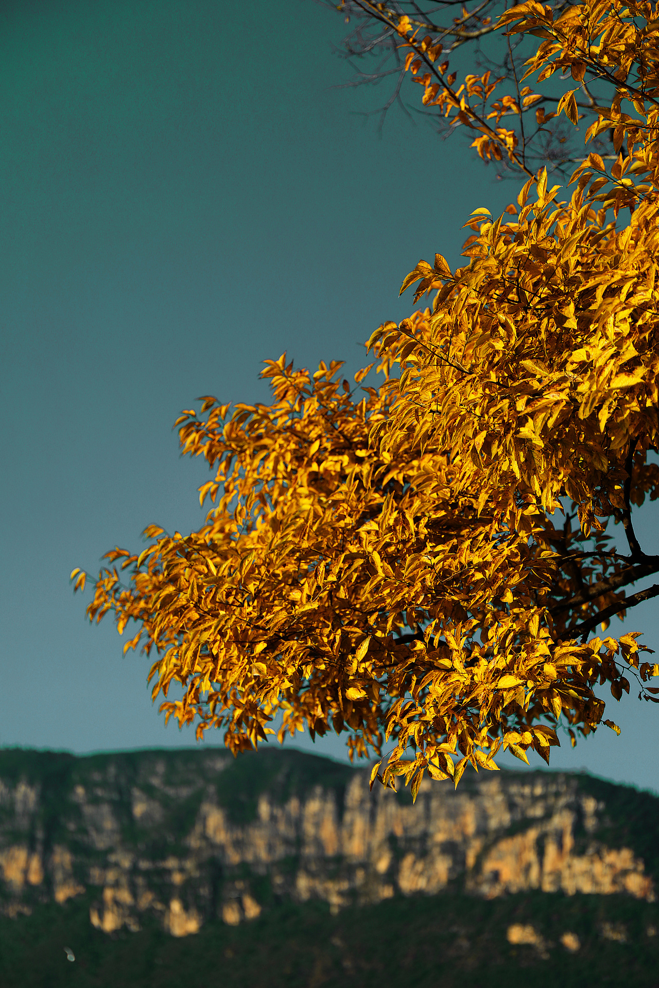 云南昆明春城 不喜勿噴哦（圖ZMTg3NTI2NzA4） - 風光攝影 - 站酷設計師佛系少年愛吃瓜原創(chuàng)素材 - 站酷ZCOOL