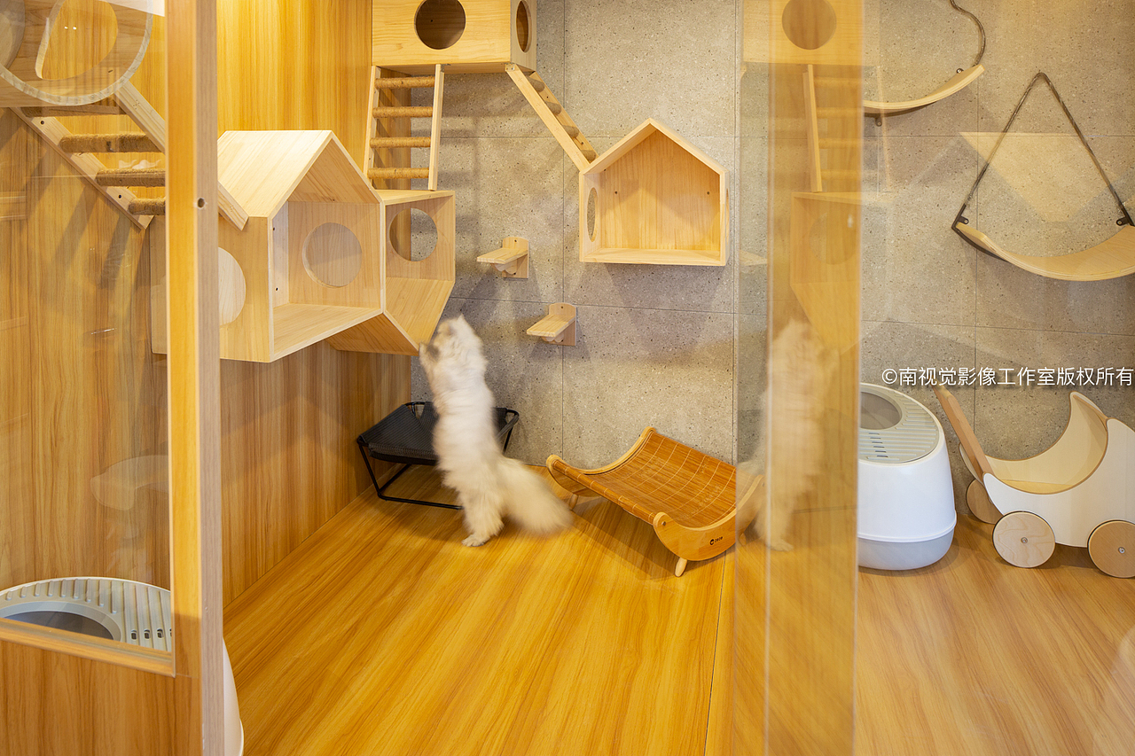 南京仙林宠物店室内照片南京空间摄影南京空间拍摄