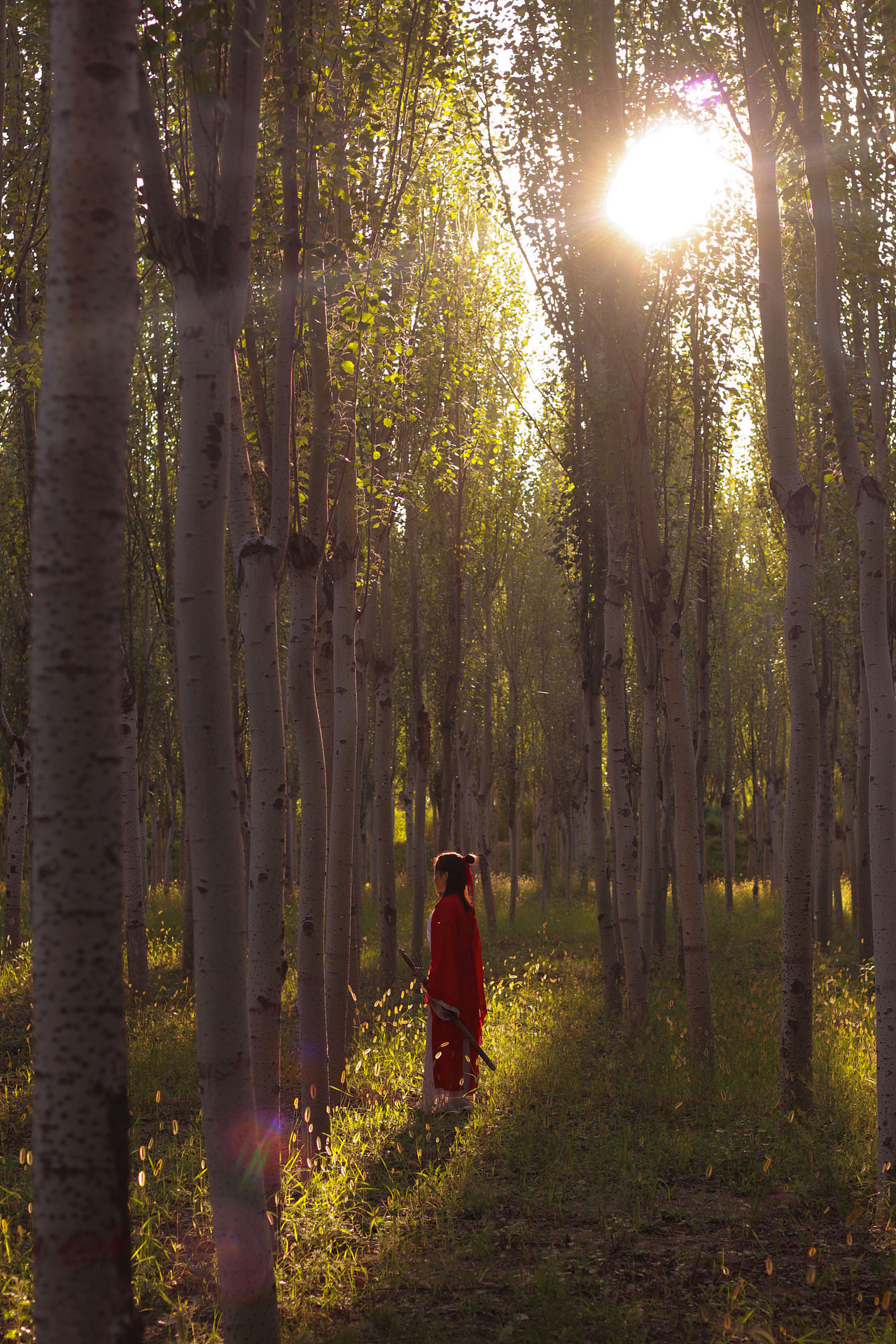 孤帆远影碧空尽