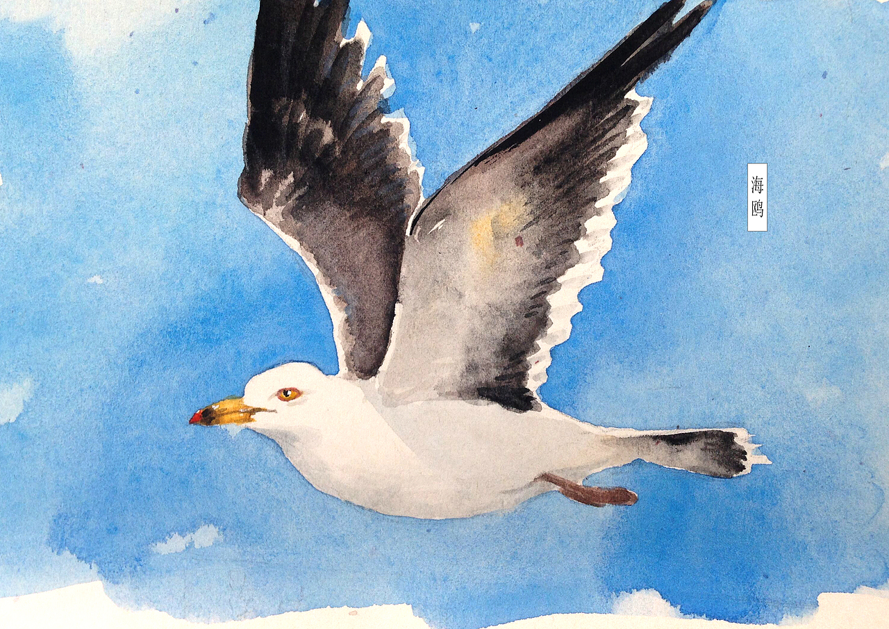 自然笔记（图ZNjg2NTE2MDQ=） - 艺术插画 - 站酷设计师早寻原创素材 - 站酷ZCOOL