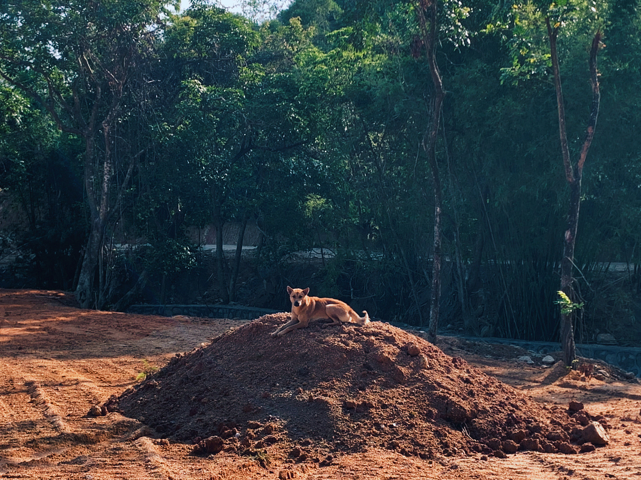 分享下老家的美景（图ZMjMzNzc5Njg0） - 风光摄影 - 站酷设计师千谦Chen原创素材 - 站酷ZCOOL