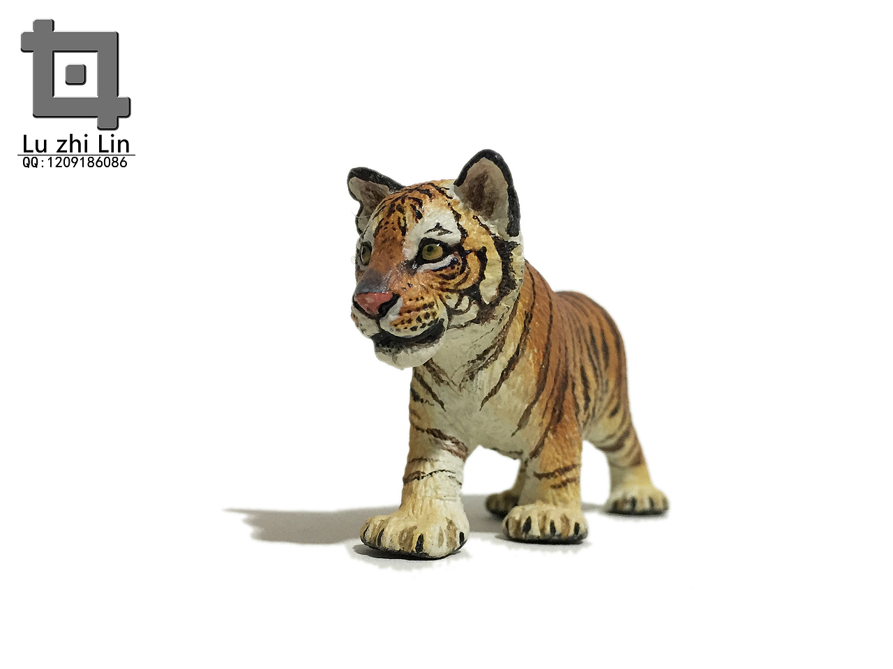 动物模型 老虎展示