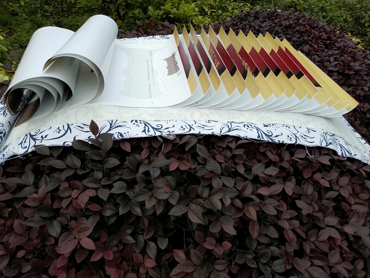 龙鳞装书籍设计瓷向