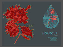 极地野玫瑰系列概念稿